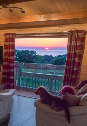 Enlli Fach pet friendly Cabin , sleeps 2 adults 2 children not suitable for contract workers due to parking